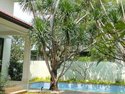 For Rent House Disewakan Rumah Mewah Cantik Tropical Garden Private Pool Dan Garden Dalam Compound Harga Murah Siap Huni Keamanan 24 Jam Dekat Ke Kemang Raya Dan Sekolahan Area Kemang Jakarta Selatan