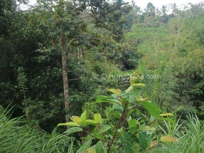 Hot List Di Jual Tanah View Sawah Lokasi Madangan Petak Gianyar