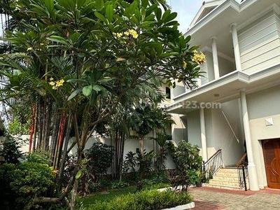House For Rent In Kemang Single House