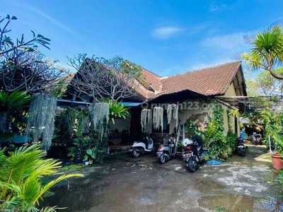 Rumah Dan Houstel Yang Masih Aktif Disewakan, Area Sanur