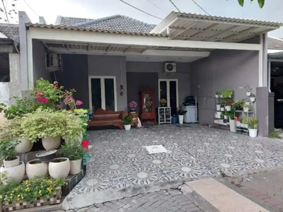 DIJUAL RUMAH GRAND DELTASARI DELTA CATTELYA