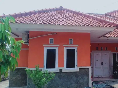 Rumah 2 Lantai Luas 350 m Di Unyur Kota Serang