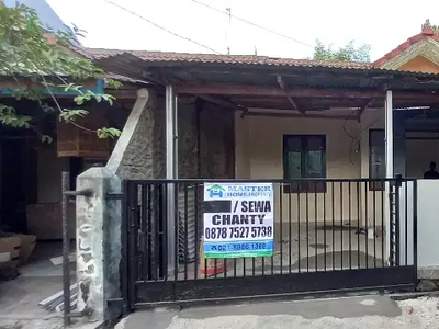 Rumah Siap Huni Berpagar Disewa Cikupa Panongan Citra Raya,Tgr Banten