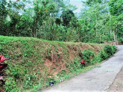 Tanah 1000m2 Hanya 200 Juta Ngargoyoso Karanganyar