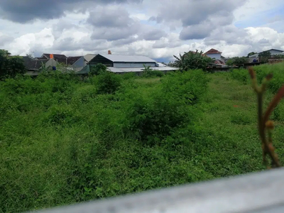 Tanah SHM Dijual Jogja dekat UGM Sinduadi Mlati Sleman Yogyakarta