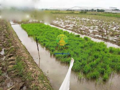 Tanah Hook Luas 1800 Meter Lokasi Mandan Sukoharjo