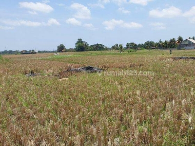 Land For Sale Or Lease In Nyambu, Tabanan, Udb 042