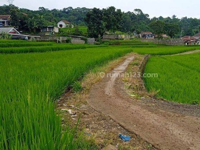 Tanah di Desa Ciapus Banjaran 1193 m² Sawah Aktif