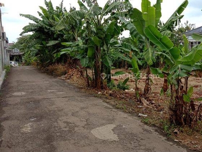 Tanah Murah di Belakang Villa Dago Pamulang Tangerang Selatan huk