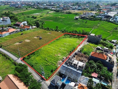 Disewakan Dikontrakkan Tanah 40 Are Berlokasi Jalan Abasan Pantai Berawa Canggu