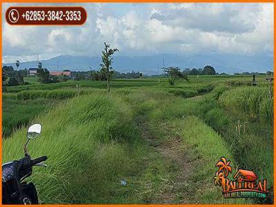 3,000 m2 with Rice Field and mountain View