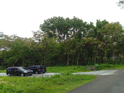 300m Jalan Nasional III Wates Jogja; Dijual Tanah Perumahan SHM P