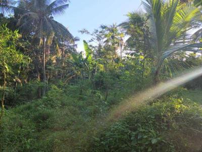 Di Jual Kebun Produktif Desa Bonyolangu