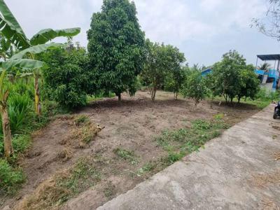 Di Jual Tanah kampung Milik pribadi SK camat