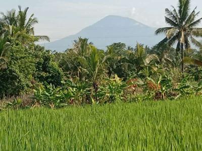 Di jual Tanah sangat BUC berlokasi di pesisir Pantai Tabanan