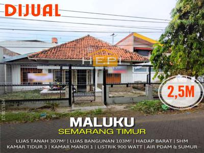 Dijual Rumah di Maluku Semarang Timur