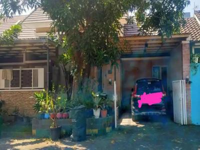 Dijual Rumah Lelang Murah Sukodono Sidoarjo