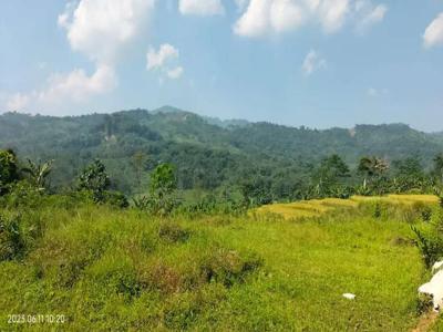 DIJUAL TANAH BERSERTIFIKAT DI PUNCAK 2 SUKAMAKMUR BOGOR