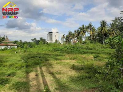 Dijual Tanah Kavling Prospek di Belakang Hotel Ilra - Banyuwangi