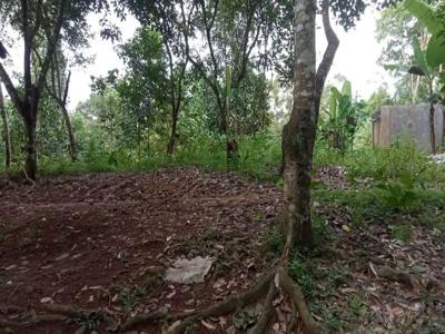 Dijual tanah kebun,pohon duren cocok buat vila