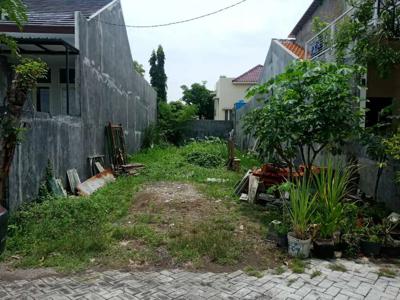 Dijual tanah medokan sawah baru 7,5 x 26