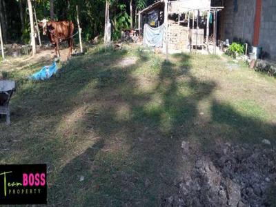 DIJUAL TANAH PEKARANGAN TERMURAH