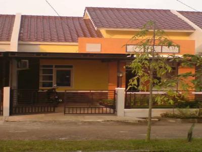 Dikontrakan rumah di taman yasmin sektor 7