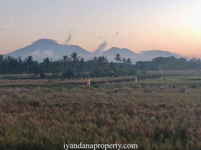 ID:F-210 Dijual Tanah 19,50 Are Sudimara Tabanan Bali Dekat Tanah Lot