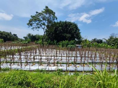 Info Tanah Dekat Jalan Palagan, Jogja Utara, Lingkungan Adem