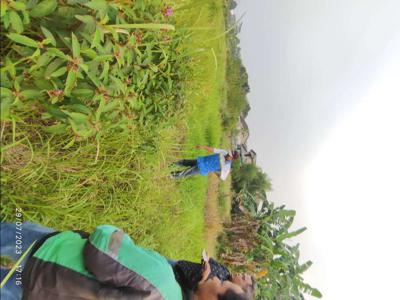 JUAL Tanah Daerah Tangerang Selatan/Babakan Pocis