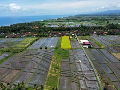 Jual Tanah Luas 3400m2 Lokasi Kerambitan Tabanan View Sawah & Gunung