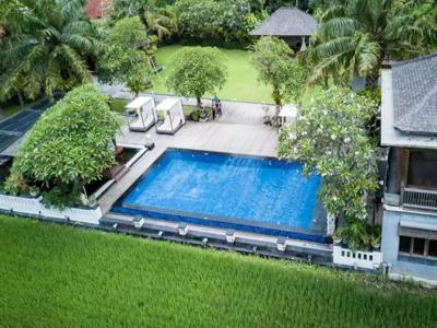 Luxurious Private Villa Ricefields River Natural Forest View Denpasar