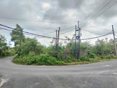 Prime Location! Land for Lease on The Main Road of Jalan Pura Masuka