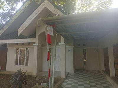 Rumah Asri Dikontrakkan