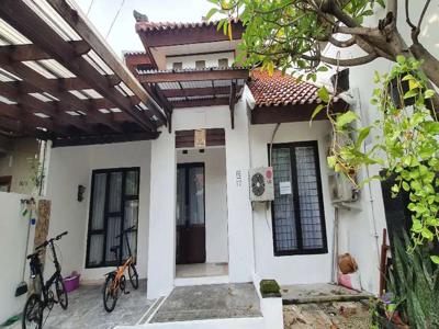 Rumah disewakan siap huni