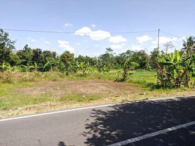 Tanah Belakang/Utara Kampus Terpadu UII Cocok Bangun Kosan