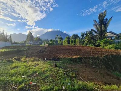 tanah di puncak cuma 500 jutaan