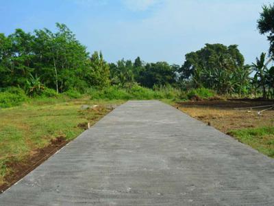Tanah Jalan Jogja Wates Dekat Kampus Mercubuana Sedayu Bantul