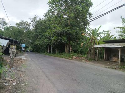Tanah Kalasan: SHM Pekarangan, Barat UGM Technopark Purwomartani
