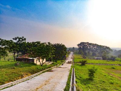 Tanah Kavling 30 Menit dari Tol Cibubur Cocok Buat Investasi