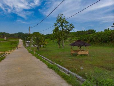 Tanah Kavling 30 Menit dari Tol Cibubur Cocok Buat Investasi