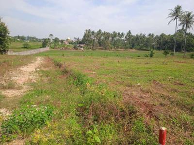 Tanah Kavling Jatimulyo