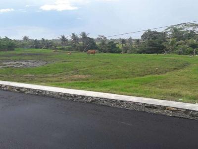 TANAH mantap pemandangan sawah yang indah