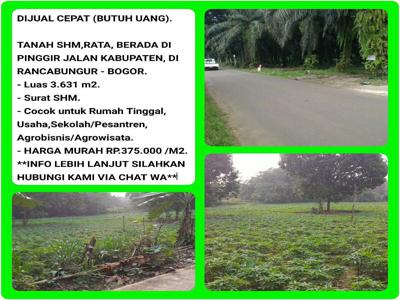 Tanah Murah 3.633m2 (Rp.375rb/m2) Tepi Jalan di Rancabungur03-Bogor