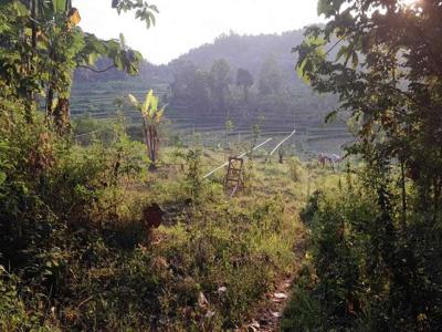 TANAH MURAH AKSES MUDAH DEKAT PASAR SRIBITAN GIRIMULYO.JK11181