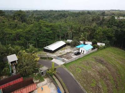 Tanah Murah Di Jl. Utama Pantai Klecung Tabanan # Sahaja Sawah Resort