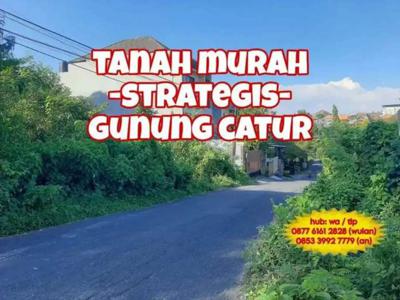 TanAh MurAh Gatsu Mitra 10 ke Utara Jl. Gn. Catur Denpasar Barat