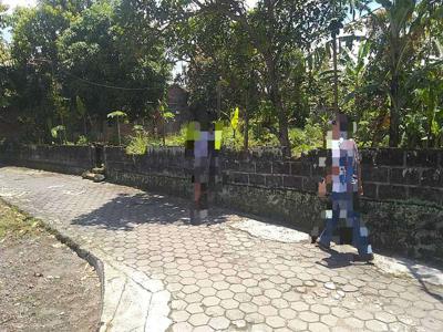 Tanah Murah Kalasan Jogja Dekat Candi Kedulan, 1 Jt-an; LT 254