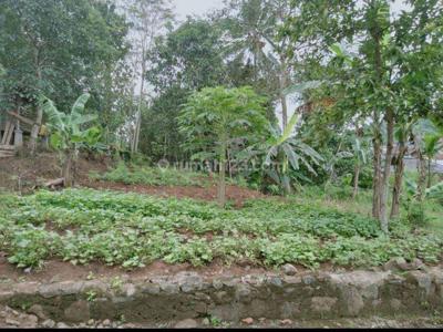 Tanah Murah Kampus Ipb Cocok Untuk Kost Dan Pesantren Kampus