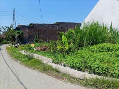 Tanah Murah Siap Bangun SHM di Sembungharjo Genuk Semarang